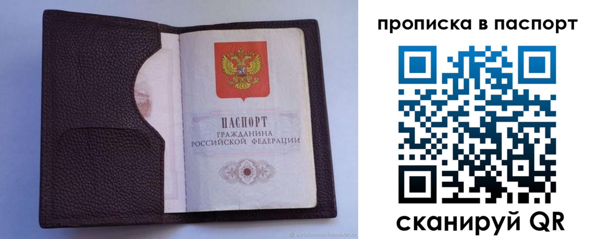 прописка законно в Бийске